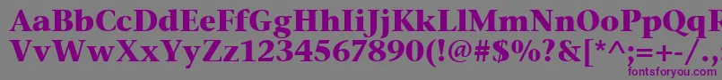 Шрифт StoneSerifItcTtBold – фиолетовые шрифты на сером фоне