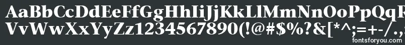 フォントStoneSerifItcTtBold – 黒い背景に白い文字