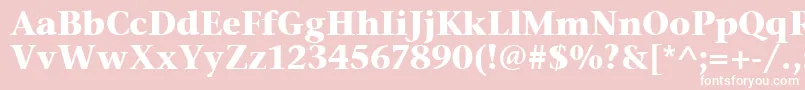 StoneSerifItcTtBold Font – White Fonts on Pink Background