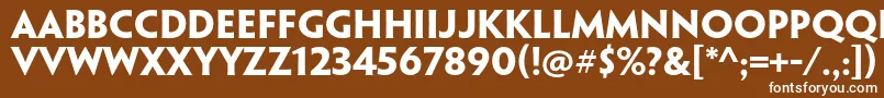 フォントPenumbraflarestdBold – 茶色の背景に白い文字