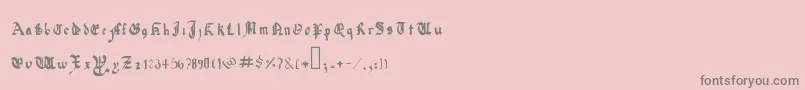QuadrataPreciosaExtended Font – Gray Fonts on Pink Background
