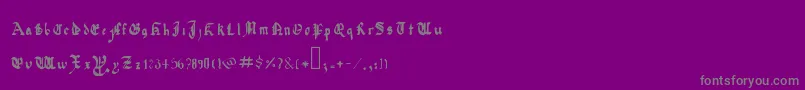 QuadrataPreciosaExtended Font – Gray Fonts on Purple Background