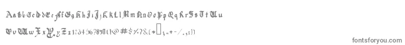 QuadrataPreciosaExtended Font – Gray Fonts on White Background
