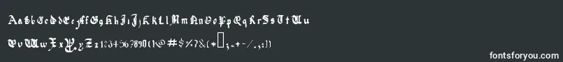 QuadrataPreciosaExtended Font – White Fonts on Black Background