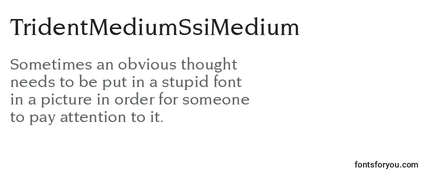 TridentMediumSsiMedium フォントのレビュー