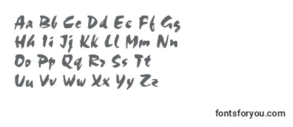 Обзор шрифта ChokkoRegular