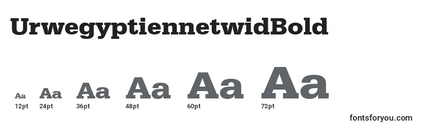 Размеры шрифта UrwegyptiennetwidBold
