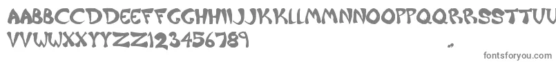 Raiderz Font – Gray Fonts on White Background