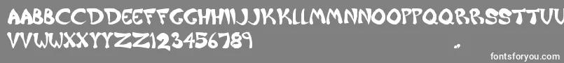 Raiderz Font – White Fonts on Gray Background