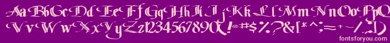 Classicfont104RegularTtext Font – Pink Fonts on Purple Background