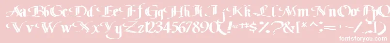Classicfont104RegularTtext Font – White Fonts on Pink Background