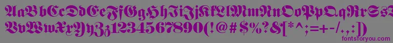 Fetteclassicunzfraktur Font – Purple Fonts on Gray Background