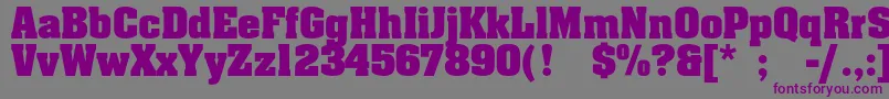 Шрифт Agaalenc – фиолетовые шрифты на сером фоне