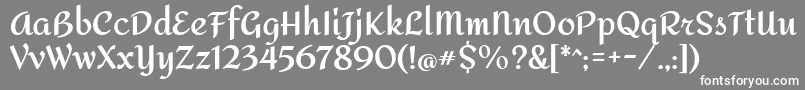 フォントAmitaBold – 灰色の背景に白い文字