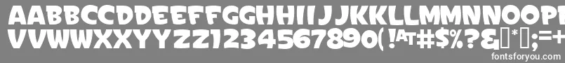 SignPaintersGothicJl Font – White Fonts on Gray Background