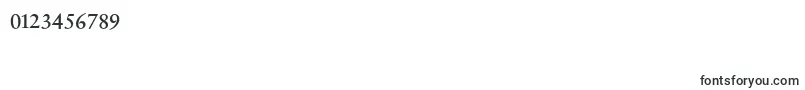 SabonnextLtDisplayAlternate-Schriftart – Schriften für Zahlen und Nummern