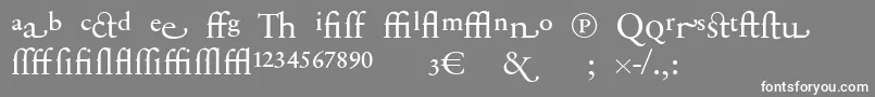 SabonnextLtDisplayAlternate-Schriftart – Weiße Schriften auf grauem Hintergrund