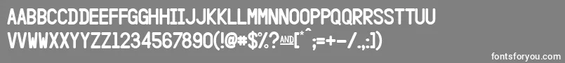 HangarFlat Font – White Fonts on Gray Background