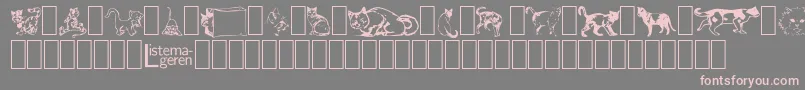 DingbatCats2 Font – Pink Fonts on Gray Background