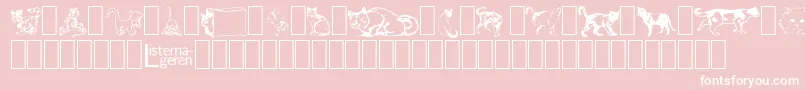 DingbatCats2 Font – White Fonts on Pink Background