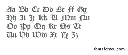 Обзор шрифта Dscaslongotisch