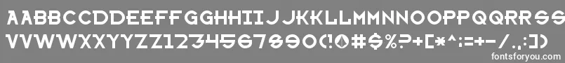 SharonAppleNormal Font – White Fonts on Gray Background