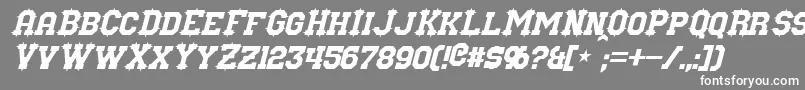 フォントNuffleItalic – 灰色の背景に白い文字