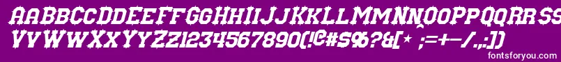 NuffleItalic Font – White Fonts on Purple Background