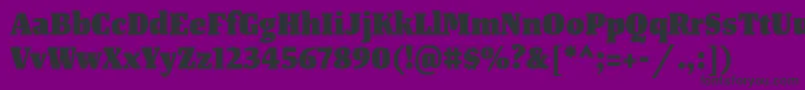 TangerserifnarrowHeavy Font – Black Fonts on Purple Background