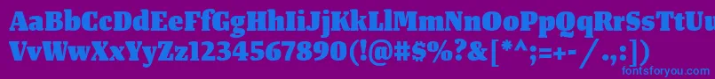 TangerserifnarrowHeavy Font – Blue Fonts on Purple Background