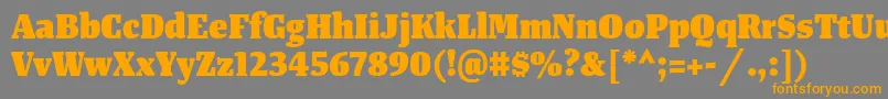 TangerserifnarrowHeavy Font – Orange Fonts on Gray Background