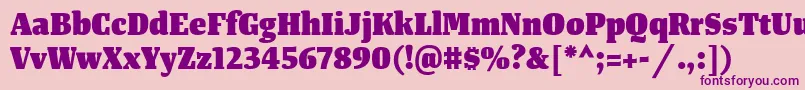 TangerserifnarrowHeavy-Schriftart – Violette Schriften auf rosa Hintergrund