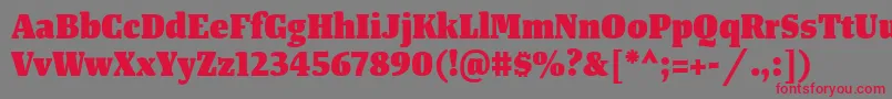 TangerserifnarrowHeavy Font – Red Fonts on Gray Background