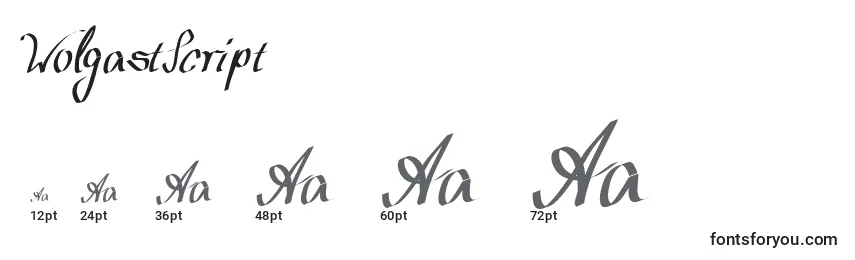 sizes of wolgastscript font, wolgastscript sizes