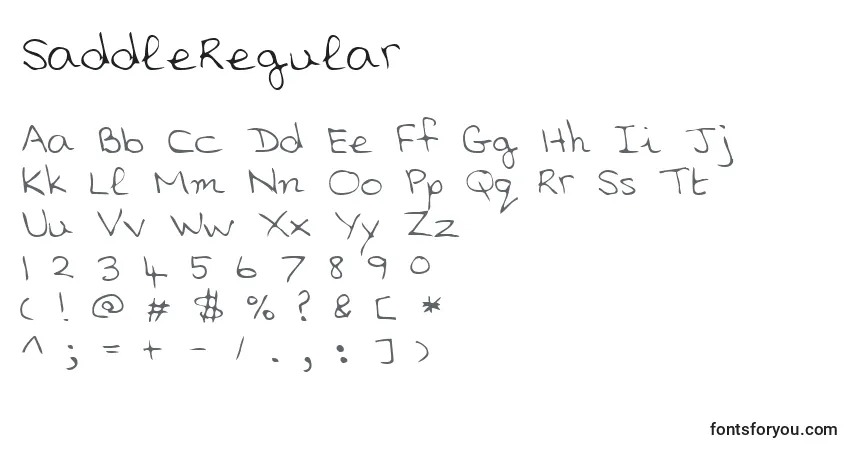 Schriftart SaddleRegular – Alphabet, Zahlen, spezielle Symbole