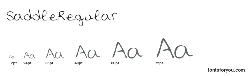 SaddleRegular Font Sizes