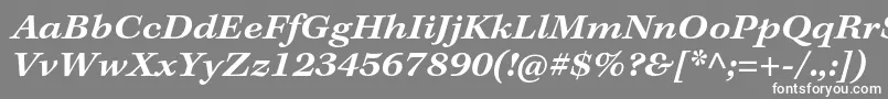 フォントKeplerstdSemiboldextitcapt – 灰色の背景に白い文字