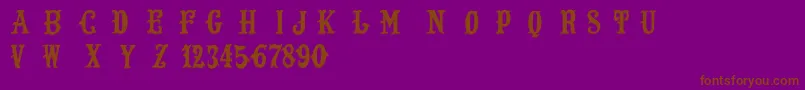 LostSaloon Font – Brown Fonts on Purple Background