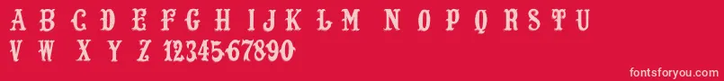 LostSaloon Font – Pink Fonts on Red Background