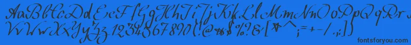 WolgastScript Font – Black Fonts on Blue Background