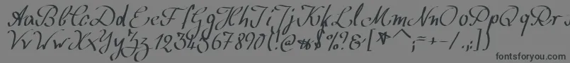 WolgastScript Font – Black Fonts on Gray Background