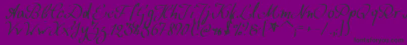 WolgastScript-Schriftart – Schwarze Schriften auf violettem Hintergrund