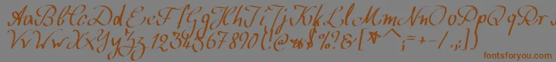 WolgastScript Font – Brown Fonts on Gray Background