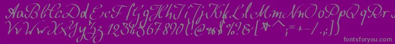 Police WolgastScript – polices grises sur fond violet