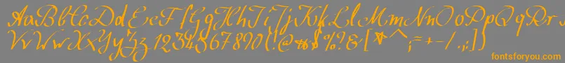 フォントWolgastScript – オレンジの文字は灰色の背景にあります。