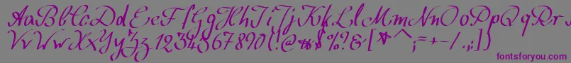 WolgastScript Font – Purple Fonts on Gray Background