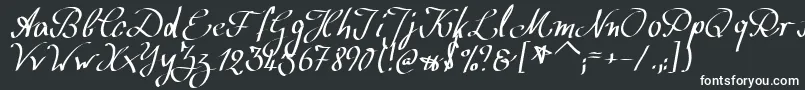 Шрифт WolgastScript – белые шрифты