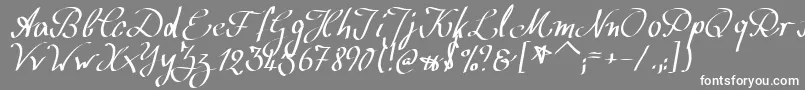 フォントWolgastScript – 灰色の背景に白い文字