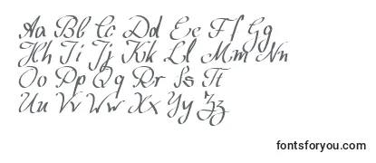 WolgastScript Font
