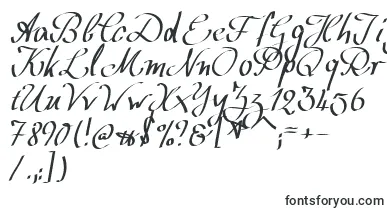  WolgastScript font